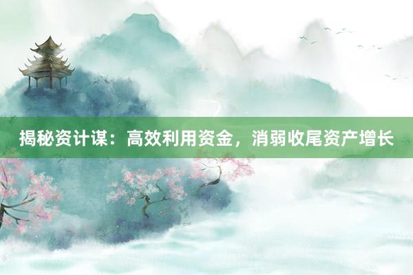 揭秘资计谋：高效利用资金，消弱收尾资产增长