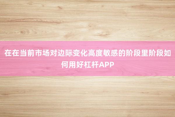 在在当前市场对边际变化高度敏感的阶段里阶段如何用好杠杆APP