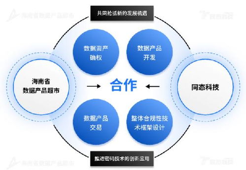 海南省数据产品超市与同态科技达成战略合作,携手打造数据要素市场新范式